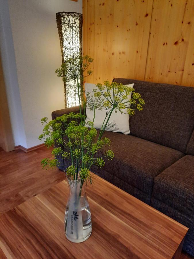 Haus Untergand Daire Sankt Anton am Arlberg Dış mekan fotoğraf